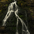Photo: dd007097      Todtnauer Waterfalls at Fall, Todtnau, Black Forest, Bathing Württemberg, Germany,